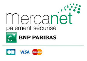 Secured payment with Mercanet BNP Paribas